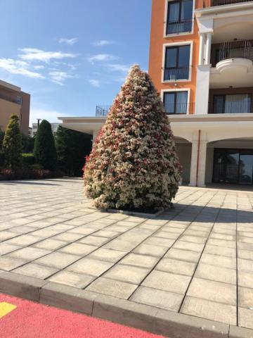 Single Apartment in Prestige Fort Beach Sweti Wlas Exterior foto